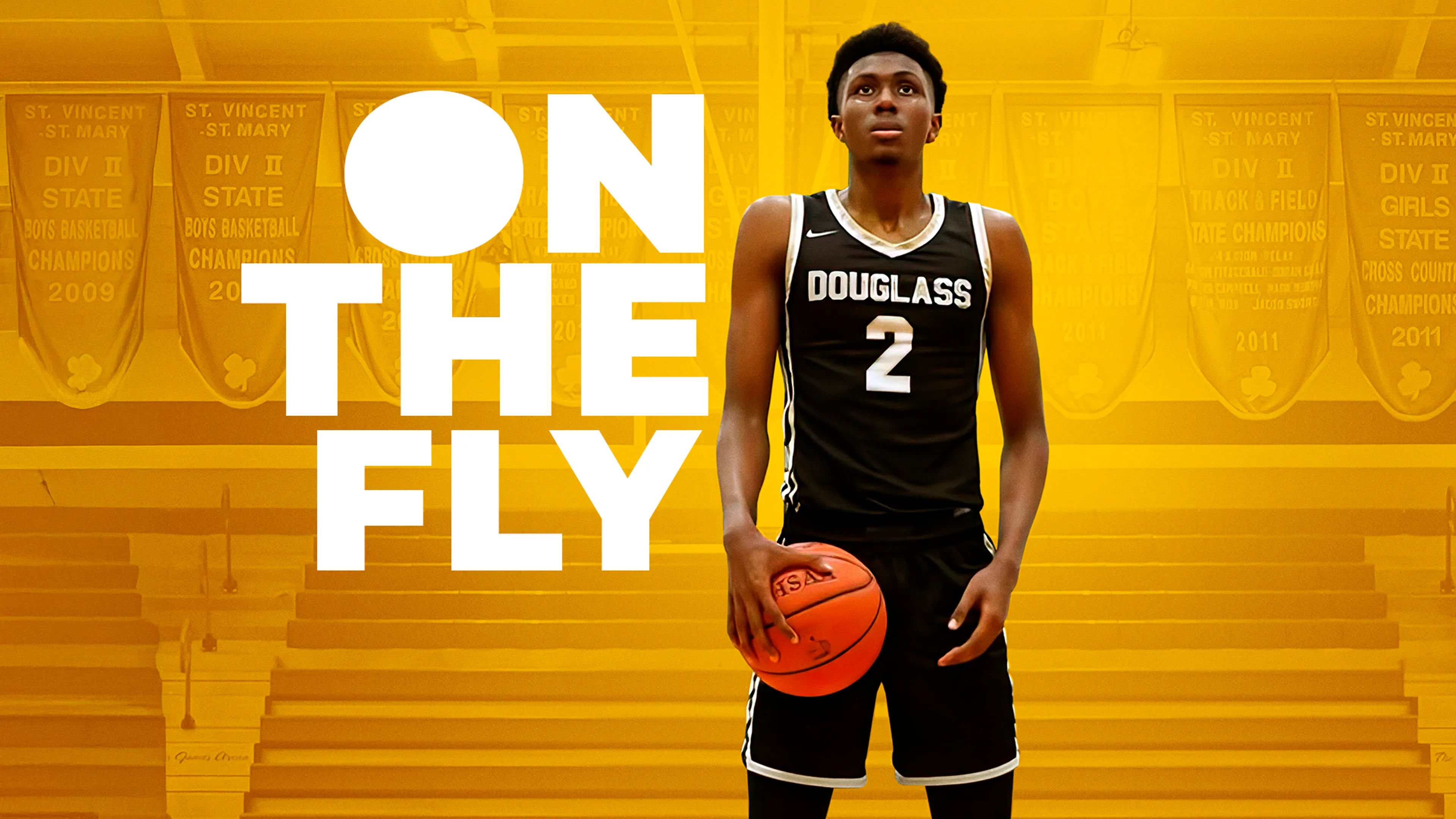 On The Fly poster